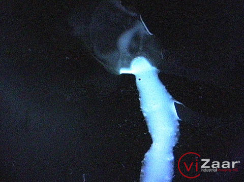 工业内窥镜,内窥镜,管道内窥镜,视频内窥镜