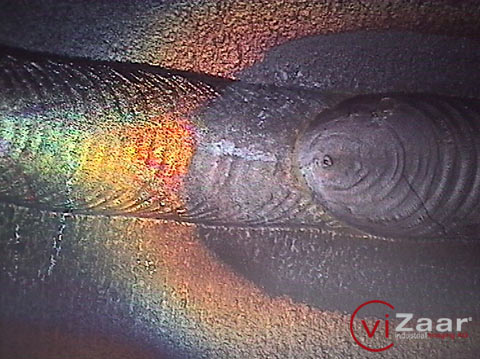 工业内窥镜,内窥镜,管道内窥镜,视频内窥镜